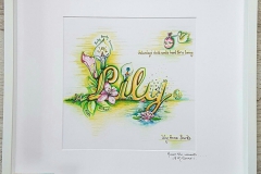 Baby Names - Lily - Personalised Details04916